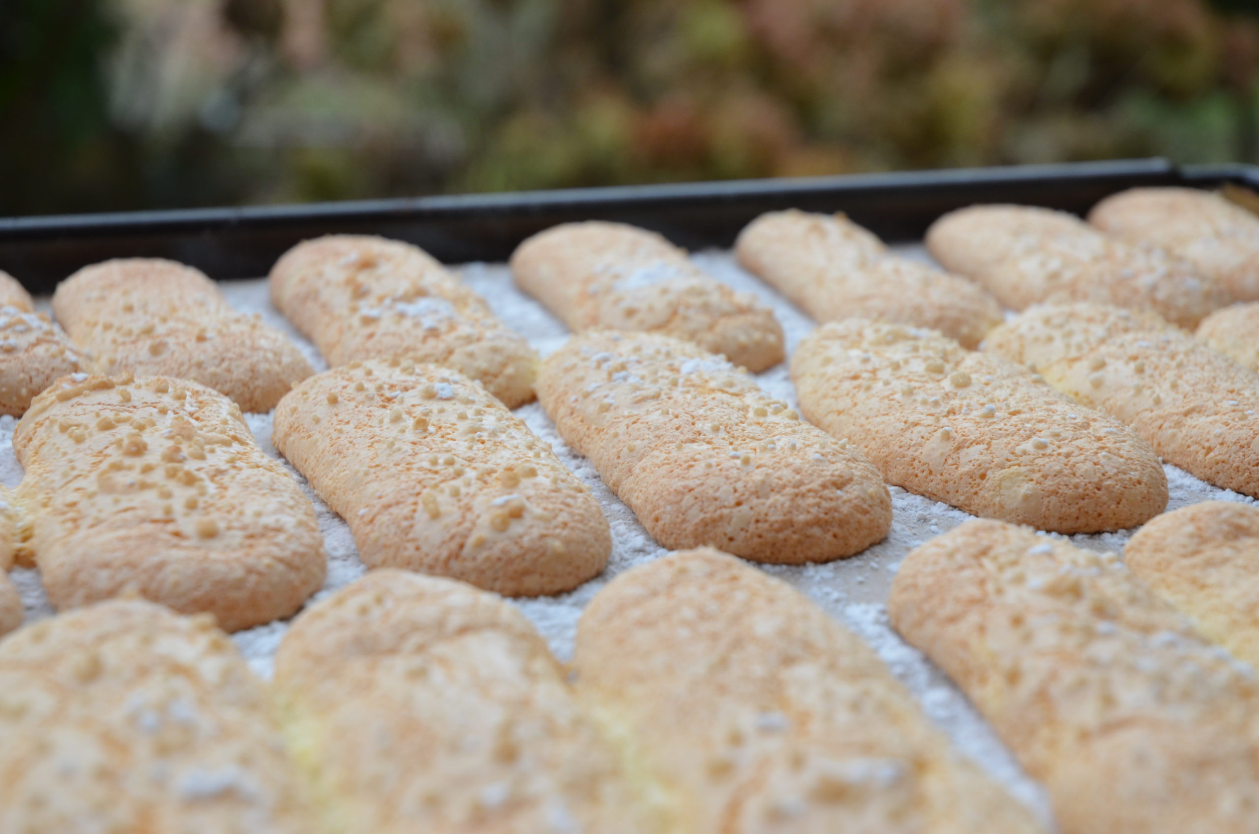 Biscuits à la cuillère