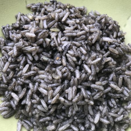 riz à l'encre de seiche