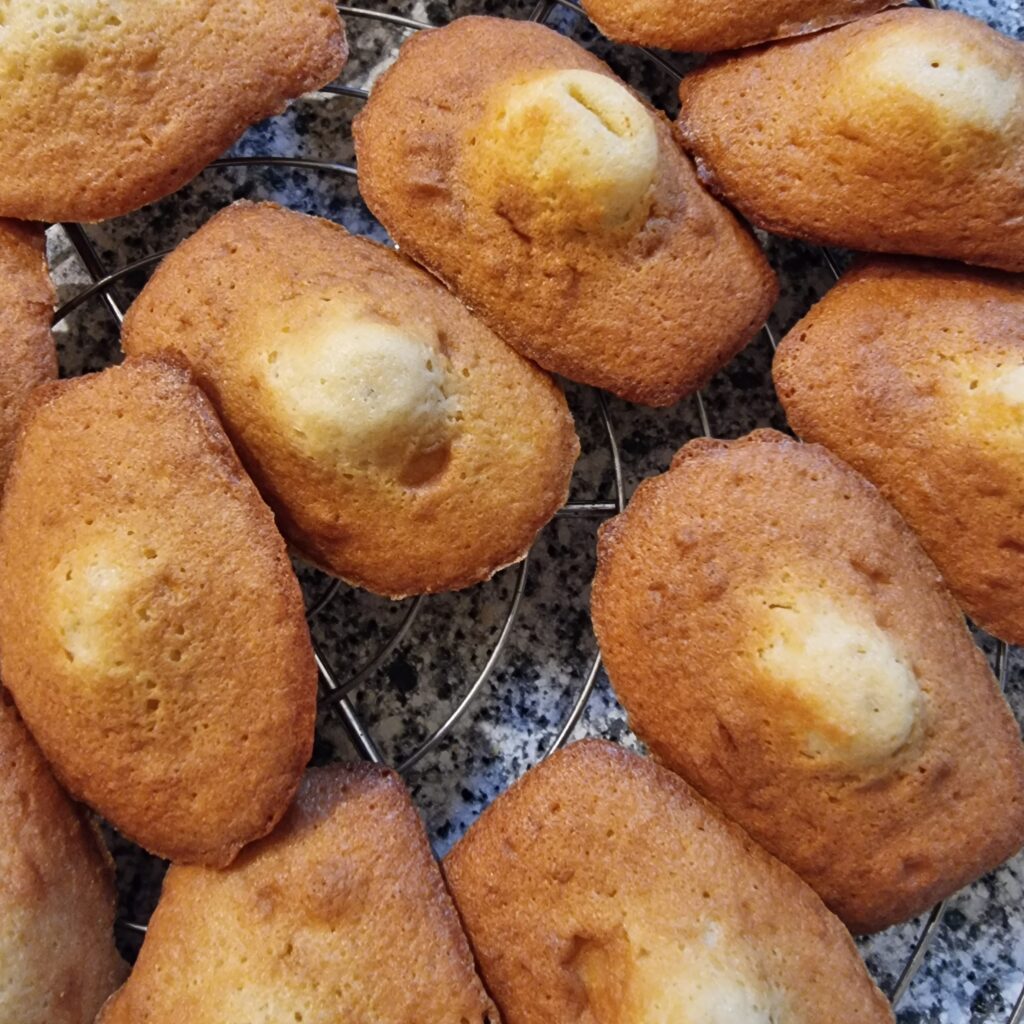 Madeleines